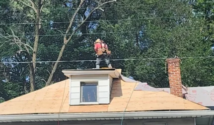 Roof Inspections service